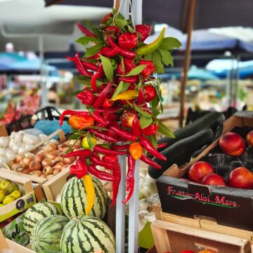 Recensione Vivo X80 Pro con tecnologia Zeiss, il top di gamma per chi ama la fotografia