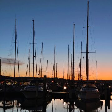 Recensione Vivo X80 Pro con tecnologia Zeiss, il top di gamma per chi ama la fotografia