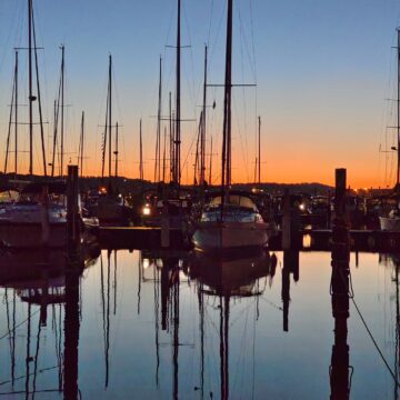 Recensione Vivo X80 Pro con tecnologia Zeiss, il top di gamma per chi ama la fotografia