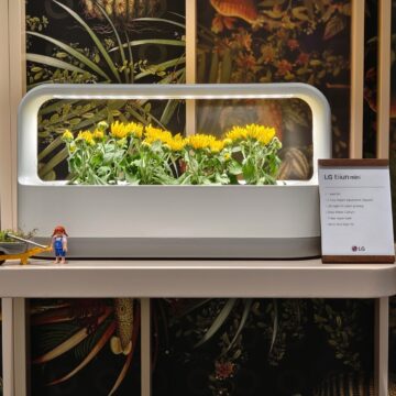 Recensione Vivo X80 Pro con tecnologia Zeiss, il top di gamma per chi ama la fotografia