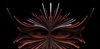 Storia delle nostro foto, delle nostre parole e del cervello digitale di Lightroom