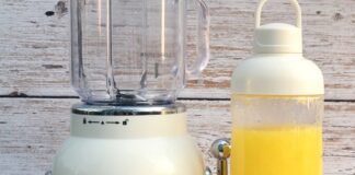 Frullatore elettrico TINTONLIFE con borraccia a 33 €
