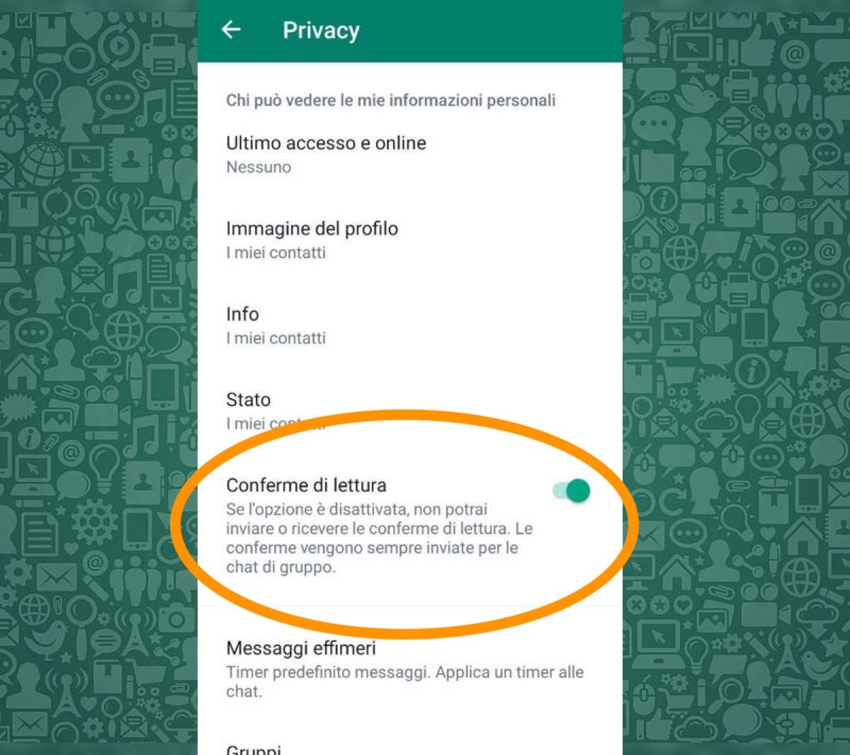 Come spiare lo Stato WhatsApp di altri restando anonimi