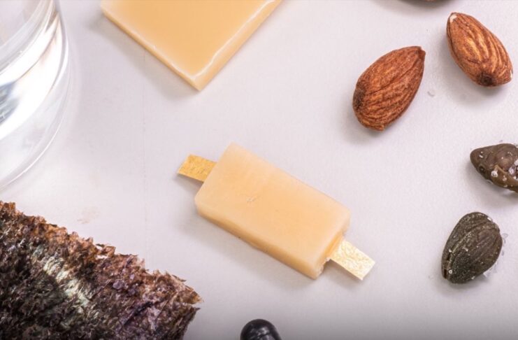 È italiana la prima batteria commestibile al mondo