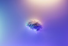Neuralink può iniziare test sull’uomo per interfaccia cervello computer
