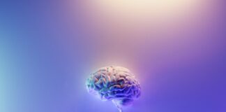Neuralink può iniziare test sull’uomo per interfaccia cervello computer
