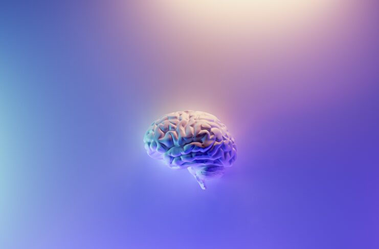 Neuralink può iniziare test sull’uomo per interfaccia cervello computer