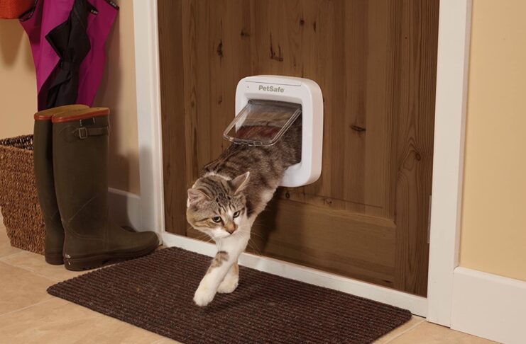 La gattaiola Petsafe si apre solo al vostro gatto