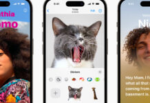 Foto in iOS 17 riconosce gli animali domestici