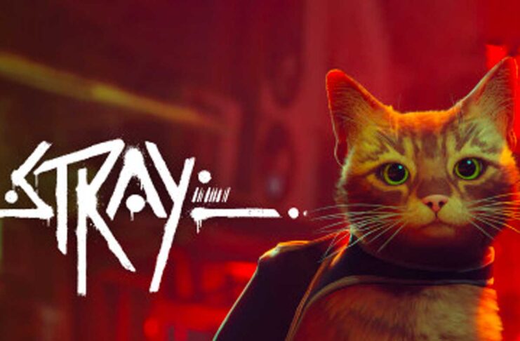 Il gioco Stray in arrivo per Mac