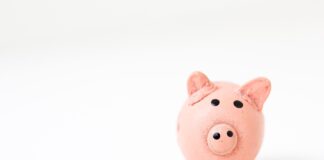 Scoprite se Amazon vi offre un buono sconto da 5€ (ultimo giorno)