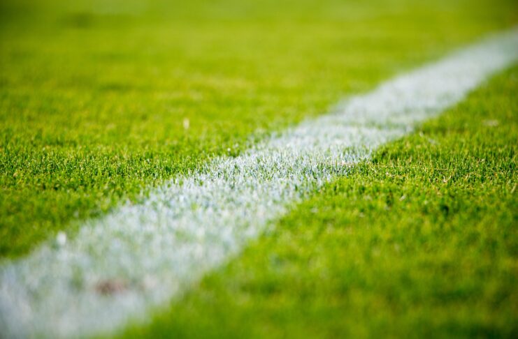 Pirateria digitale, la nuova legge oscura i siti in 30 minuti