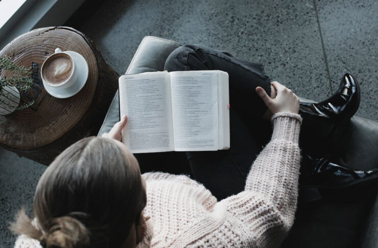 Molte IA probabilmente addestrate con copie pirata di libri