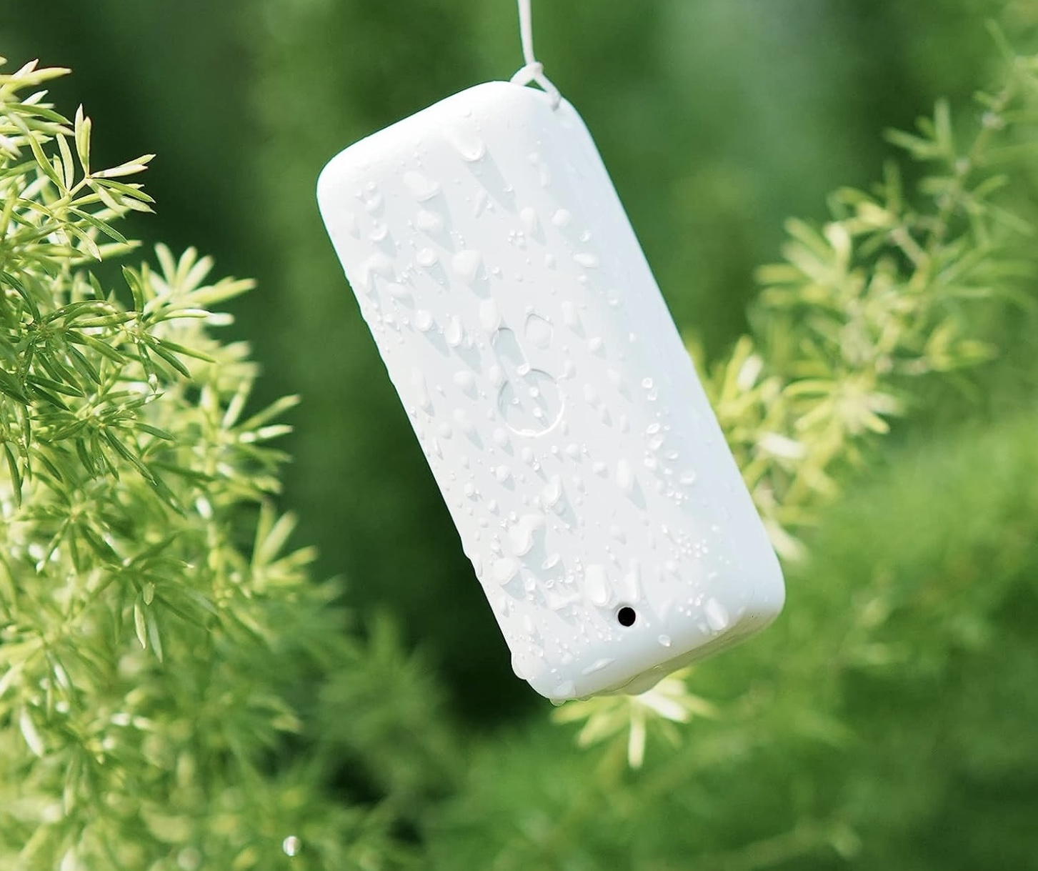 Il Termometro igrometro wireless SwitchBot IP65 funziona all’esterno e con lo smartphone Il Termometro igrometro wireless SwitchBot IP65 funziona all’esterno e con lo smartphone