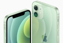 iPhone 15 e Plus forse arrivano anche in verde chiaro