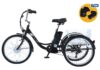 GOGOBEST GF100, triciclo elettrico da città in sconto