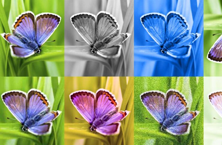 Un tool di Google per individuare immagini generate con l'AI