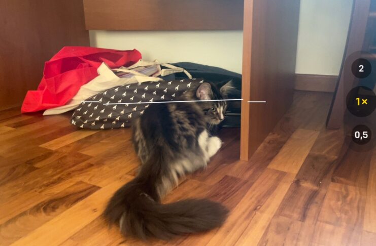 Come fare foto e video perfettamente allineati con iPhone e iOS 17