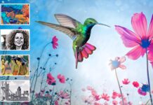Photoshop Elements 2024 Mac e PC a metà prezzo 49,99 € al Black Friday