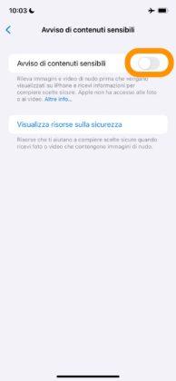 Come sfocare i contenuti sensibili su iOS 17