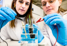 Il terriccio elettrico accelera la crescita delle piante Dalla Svezia il terriccio elettrico per accelerare il ciclo di crescita delle piante