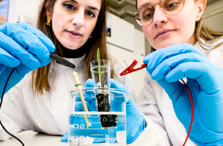 Dalla Svezia il terriccio elettrico per accelerare il ciclo di crescita delle piante