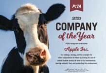 Apple è la società dell’anno 2023 per PETA Apple è la società dell'anno 2023 per PETA