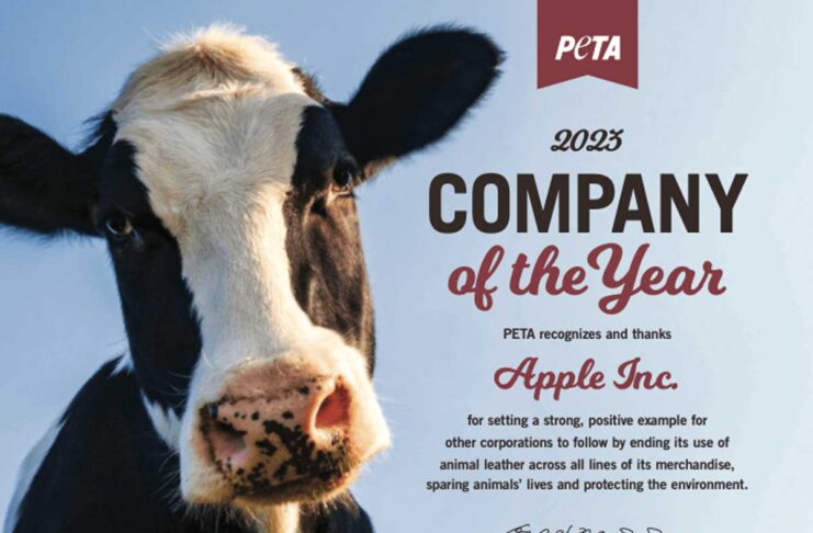 Apple è la società dell'anno 2023 per PETA