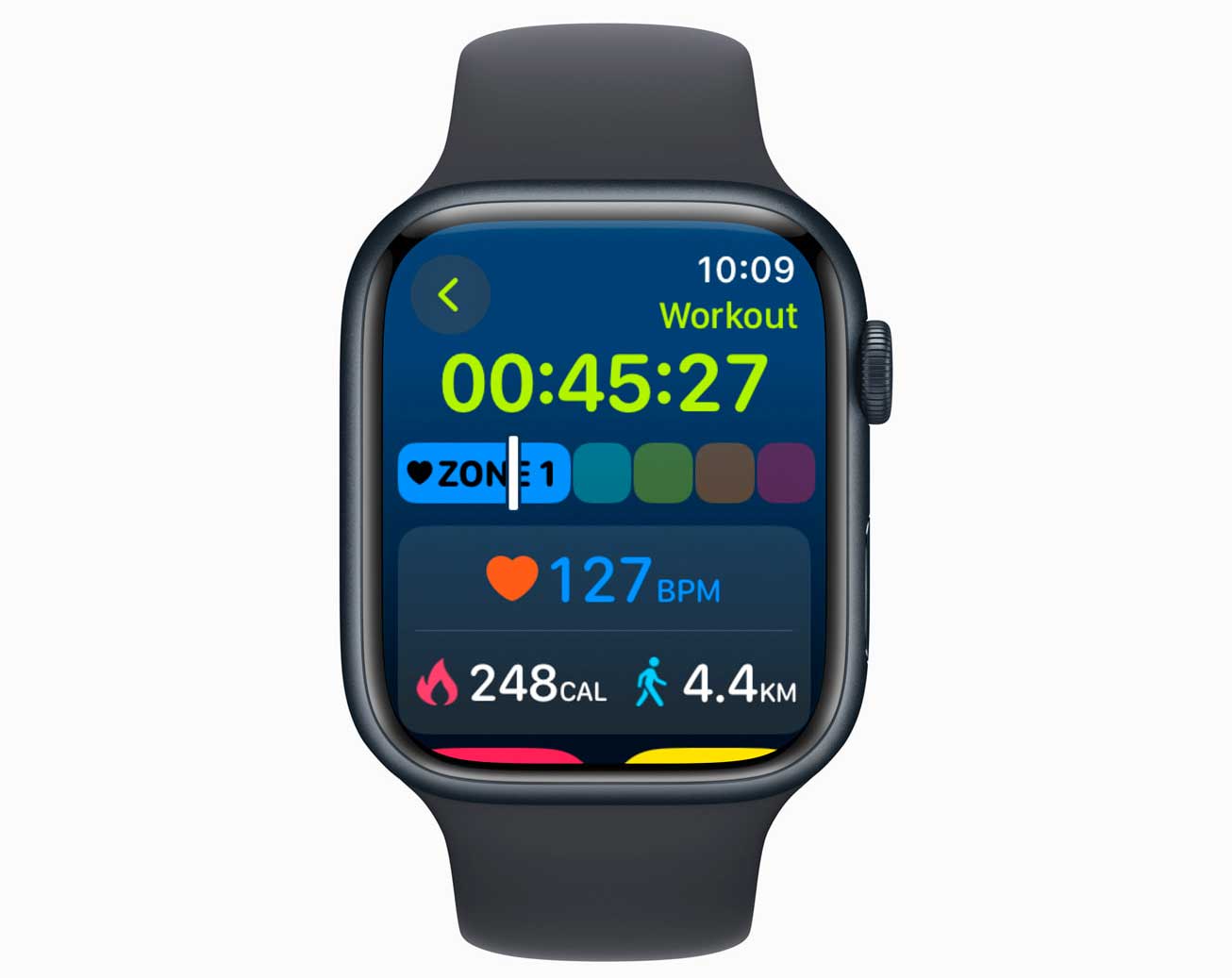 Apple Watch, spedizioni aumentano del 7% rispetto allo scorso anno Apple Watch, spedizioni aumentano del 7% rispetto allo scorso anno