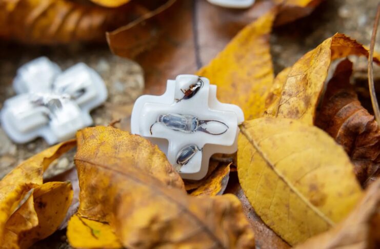 Ecco l'azienda che inserisce i bug nei D-Pad della Steam Deck