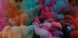 I migliori libri per capire le differenze di genere