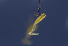 E-commerce, nel dark web in vendita 30 milioni di dati di utenti italiani