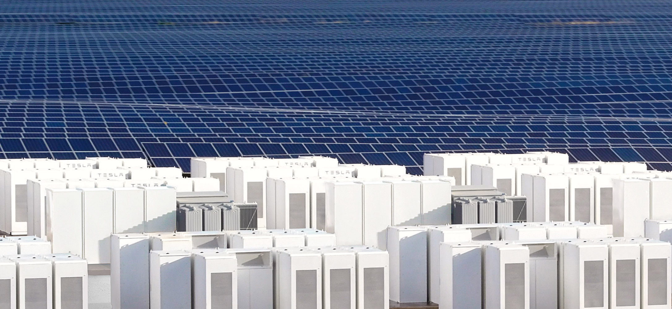 Non solo auto, Tesla domina le batterie residenziali USA