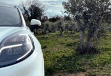 Ford, gli scarti delle olive per la creazione di materiali biocompositi per le auto