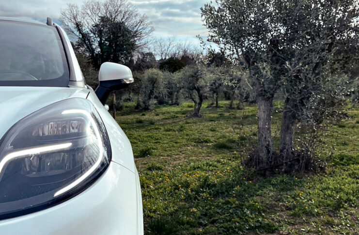 Ford, gli scarti delle olive per la creazione di materiali biocompositi per le auto