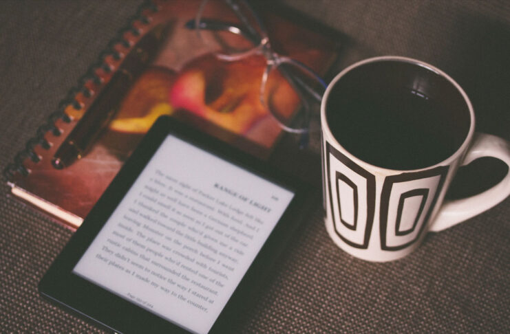 L’ebook racconta la triste storia di una innovazione che non decolla