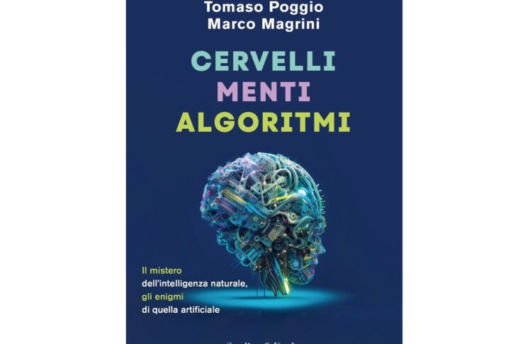 Quando i cervelli si ritrovano la loro mente supera gli algoritmi, per ora