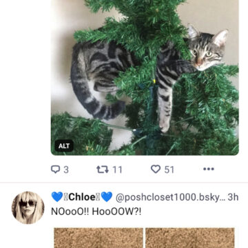 Bluesky, quasi un milione di utenti in più in un solo giorno