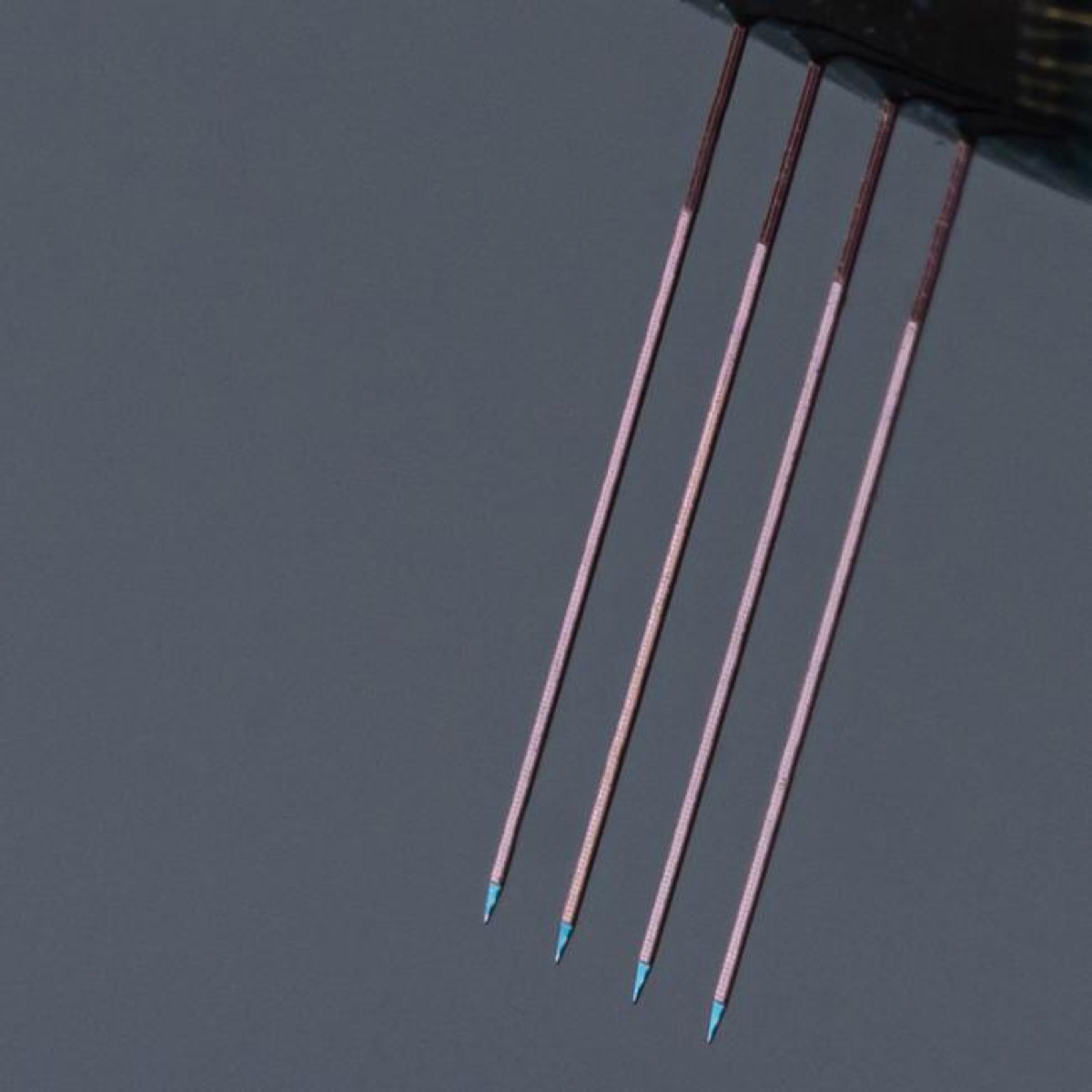 La ricerca italiana sfida Musk nello sviluppo chip per il cervello