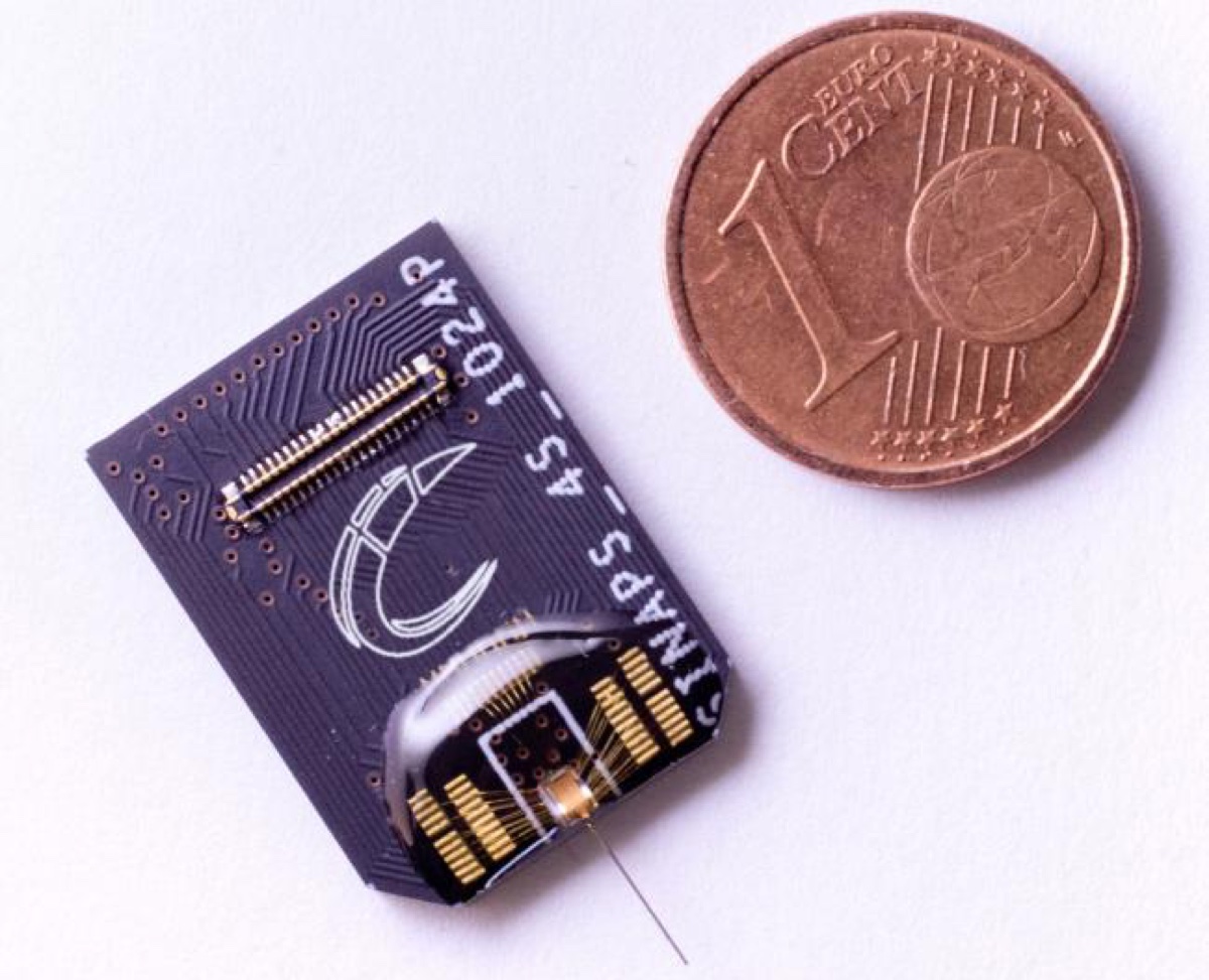 L’Italiana Corticale sfida Elon Musk nelle interfacce cervello computer