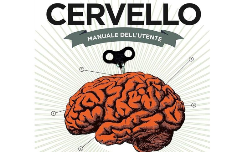 I migliori libri per scoprire le neuroscienze