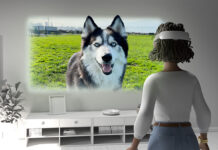 Il visore Meta Quest può riprodurre i video spaziali di iPhone 15 Pro Il visore Meta Quest può riprodurre i video spaziali di iPhone 15 Pro