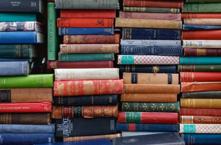 La pirateria dei libri oggi è diventata enorme