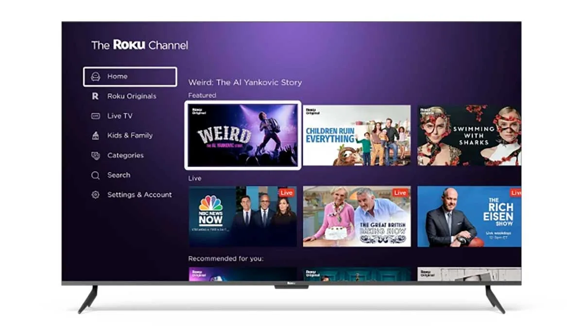 Roku, brevetto per mostrare la pubblicità quando un film o un gioco è in pausa Roku, brevetto per mostrare la pubblicità quando un film o un gioco è in pausa