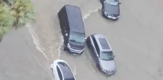 Le Tesla a Dubai superano alluvione e allagamenti, i video