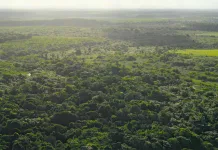 Conflitto tra AI e ambiente, la possibile soluzione Ecco a quali condizioni l’AI e l’ambiente potrebbero andare a braccetto