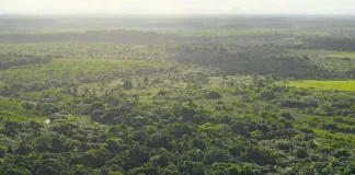 Ecco a quali condizioni l’AI e l’ambiente potrebbero andare a braccetto