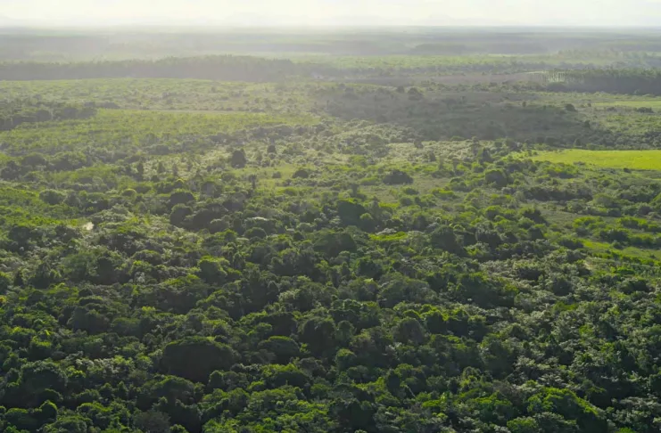 Ecco a quali condizioni l’AI e l’ambiente potrebbero andare a braccetto