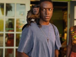 PETA contro la serie Bad Monkey su Apple TV Plus