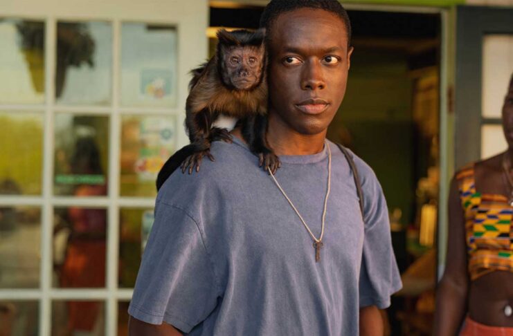 PETA contro la serie Bad Monkey su Apple TV Plus